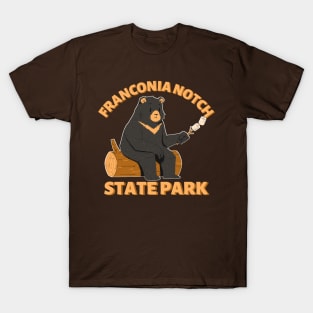 Franconia Notch State Park Camping Bear T-Shirt